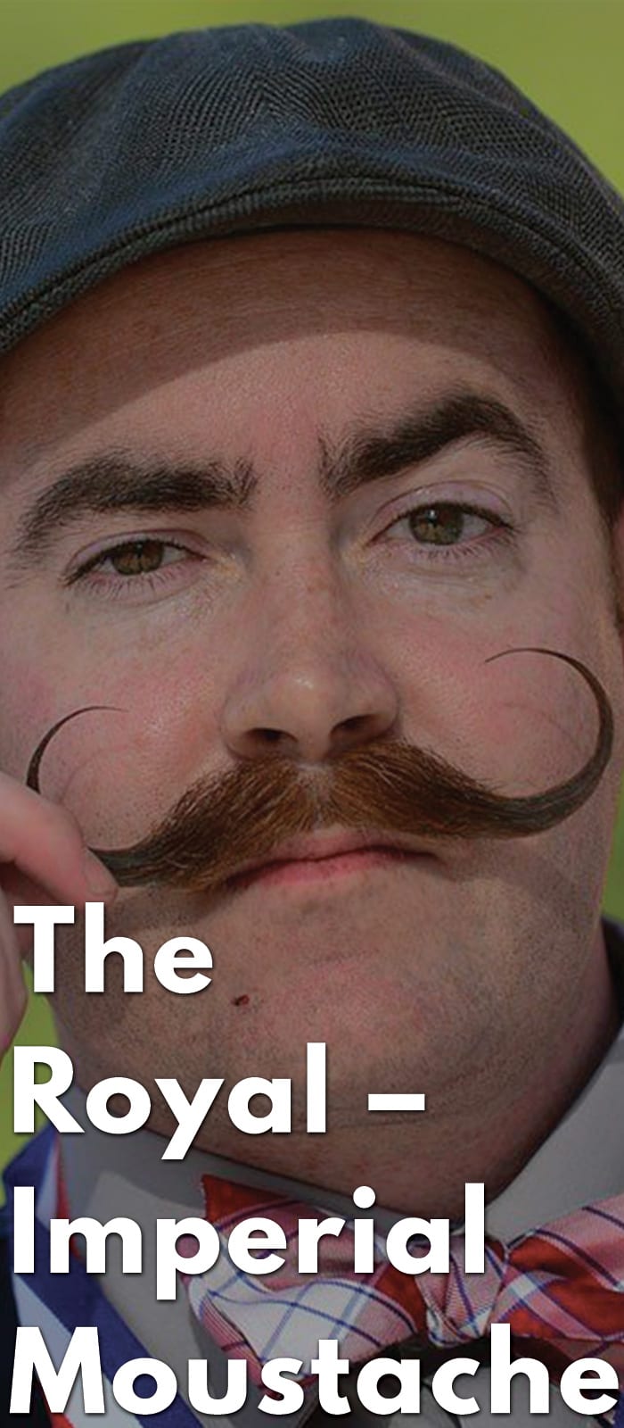 The-Royal-–-Imperial-Moustache.